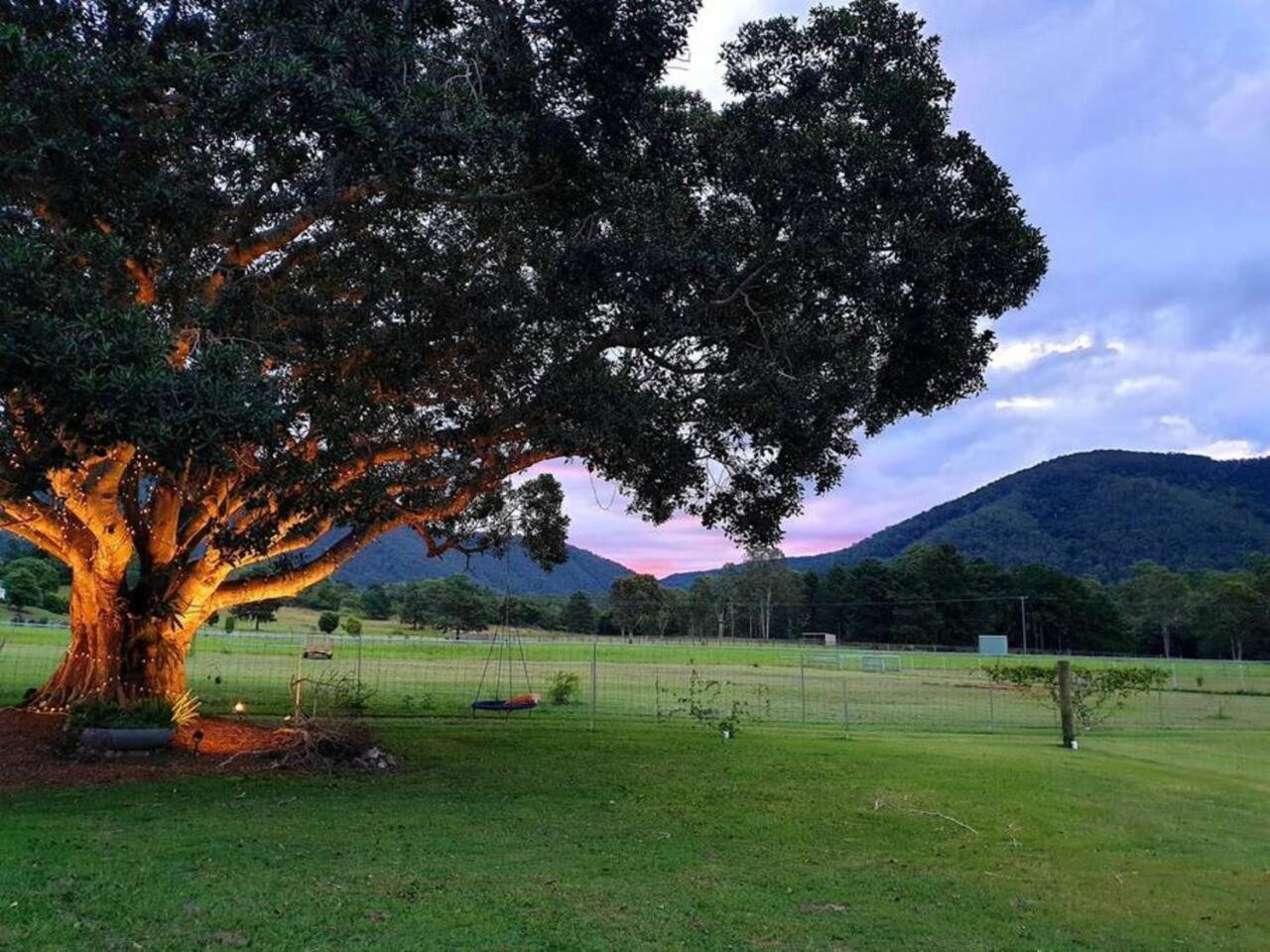 Fig Tree Farm B&B Highvale-Farmstay Near Brisbane! Exterior photo